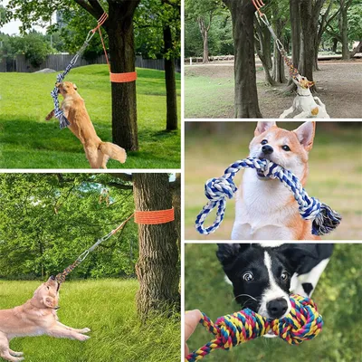 IntiMeg Jouet de traction en coton pour chien extérieur