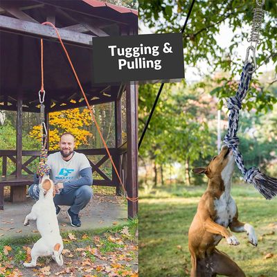 IntiMeg Jouet de traction en coton pour chien extérieur