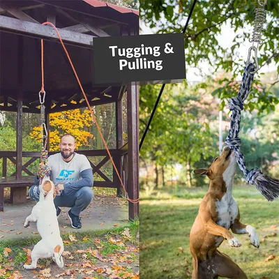 IntiMeg Jouet de traction en coton pour chien extérieur