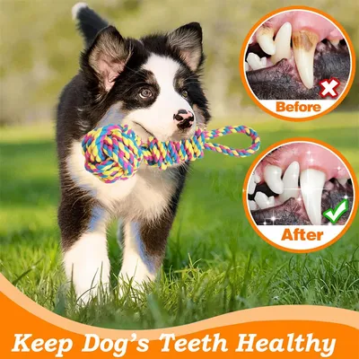 IntiMeg Jouet de traction en coton pour chien extérieur