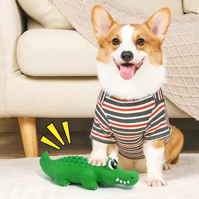 Zoomtopia Jouet couineur pour chien mâcheur agressif