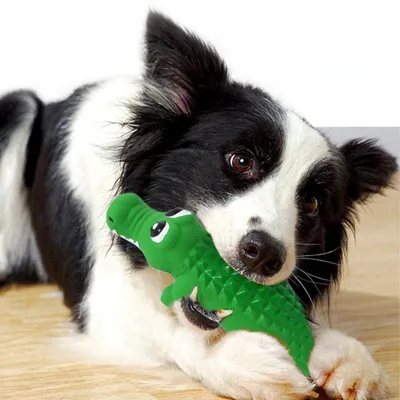 Zoomtopia Jouet couineur pour chien mâcheur agressif
