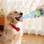 Zoomtopia Jouet en caoutchouc pour chien en forme de bouteille