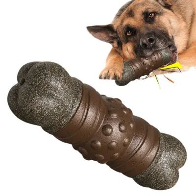 Zoomtopia Jouet couineur en forme d'os pour chien