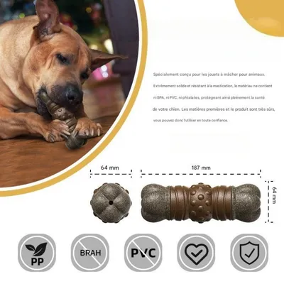 Zoomtopia Jouet couineur en forme d'os pour chien