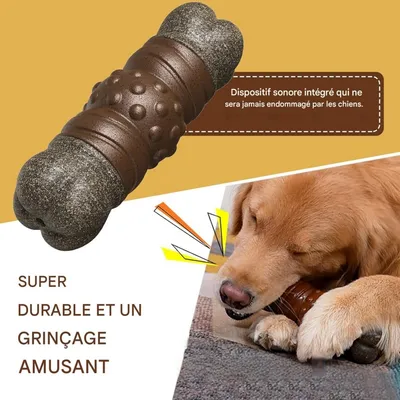 Zoomtopia Jouet couineur en forme d'os pour chien