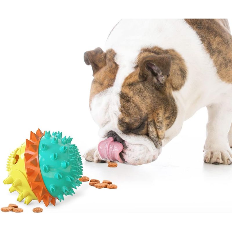 Jouets pour chiens distributeurs de friandises et jouets à mâcher
