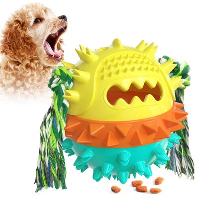 Jouets pour chiens distributeurs de friandises et jouets à mâcher