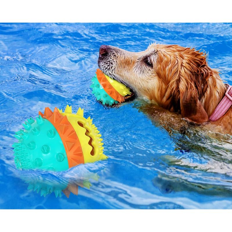 Jouets pour chiens distributeurs de friandises et jouets à mâcher