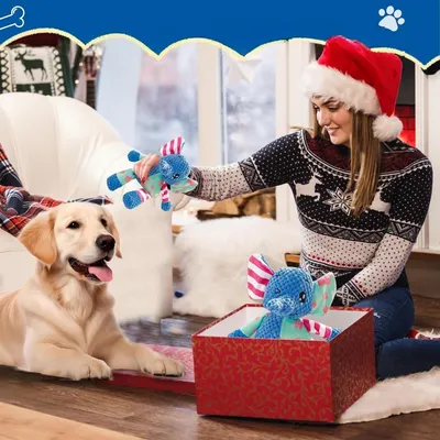Zoomtopia Jouet en peluche éléphant pour chien