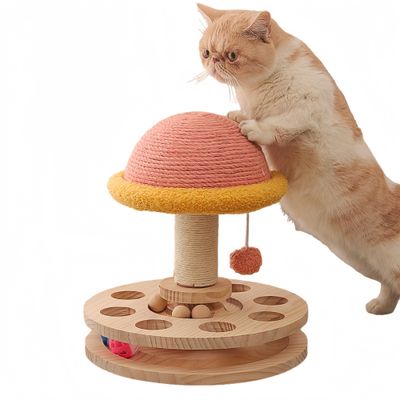 FurryFusion Jouets pour griffoirs pour chats