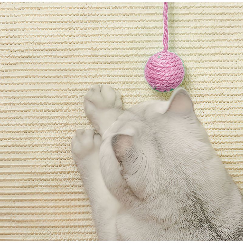 FurryFusion Tapis de sisal pour chat