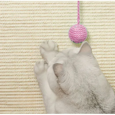 FurryFusion Tapis de sisal pour chat