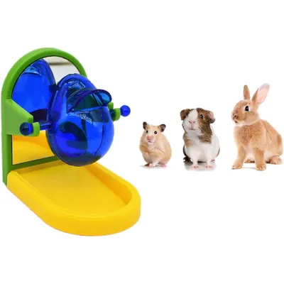 Zoomtopia jouets pour cochons d'Inde