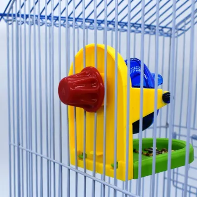 Zoomtopia jouets pour cochons d'Inde