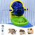 Zoomtopia jouets pour cochons d'Inde