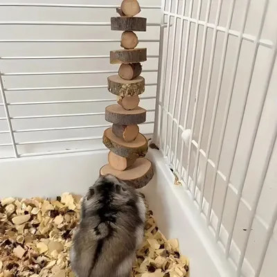 Zoomtopia Jouet à mâcher pour rongeurs en bois de pommier