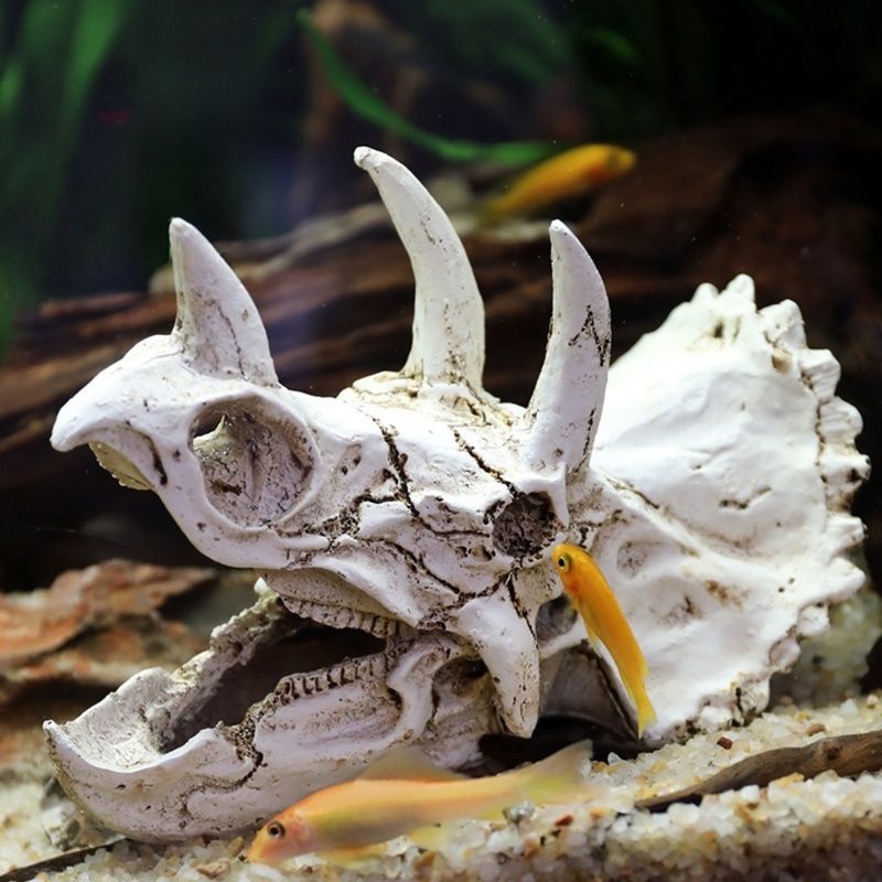 Zoomtopia Décoration d'aquarium en forme de crâne de dinosaure