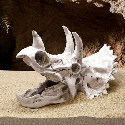 Zoomtopia Décoration d'aquarium en forme de crâne de dinosaure