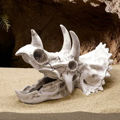 Zoomtopia Décoration d'aquarium en forme de crâne de dinosaure