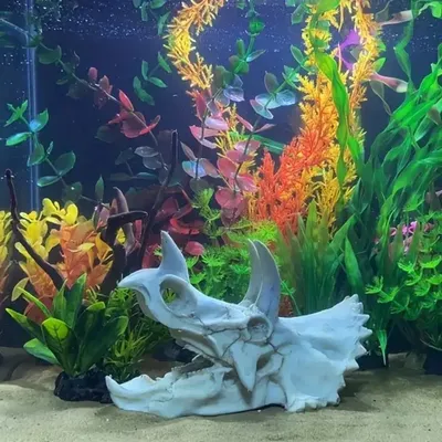Zoomtopia Décoration d'aquarium en forme de crâne de dinosaure