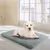 Tapis chauffant pour chien