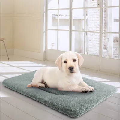 Tapis chauffant pour chien
