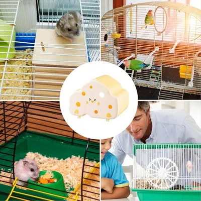 Pawzy Cachette pour petits animaux