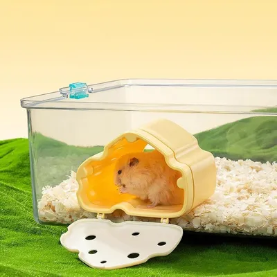 Pawzy Cachette pour petits animaux