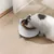 Zoomtopia Gamelle inclinable pour chat et chien
