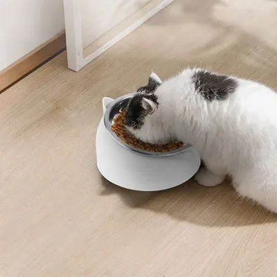 Zoomtopia Gamelle inclinable pour chat et chien