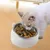 Zoomtopia Gamelle inclinable pour chat et chien