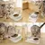Zoomtopia Gamelle anti vomissement pour chat