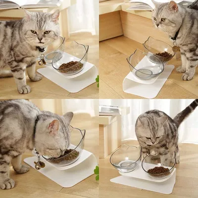 Zoomtopia Gamelle anti vomissement pour chat