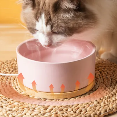 IntiMeg Bol d'eau thermorégulé pour chats et chiens