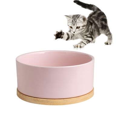 IntiMeg Bol d'eau thermorégulé pour chats et chiens