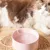 IntiMeg Bol d'eau thermorégulé pour chats et chiens