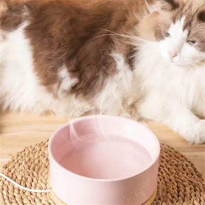 IntiMeg Bol d'eau thermorégulé pour chats et chiens