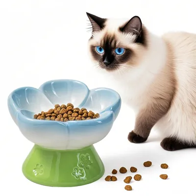 Gamelle surélevée en céramique pour chat à alimentation lente