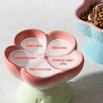 Gamelle surélevée en céramique pour chat à alimentation lente