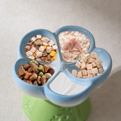 Gamelle surélevée en céramique pour chat à alimentation lente