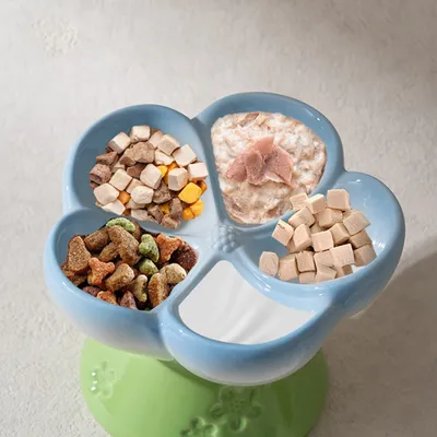 Gamelle surélevée en céramique pour chat à alimentation lente