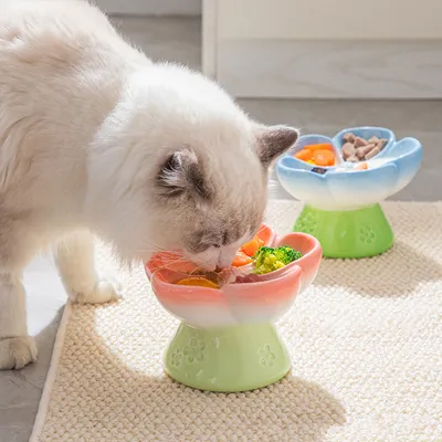 Gamelle surélevée en céramique pour chat à alimentation lente
