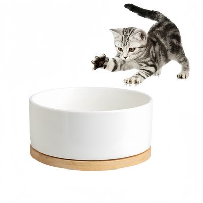 IntiMeg Bol d'eau thermorégulé pour chats et chiens