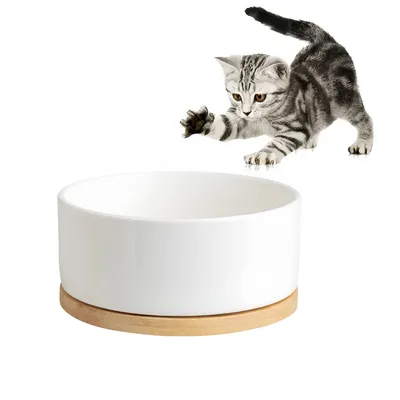 IntiMeg Bol d'eau thermorégulé pour chats et chiens