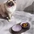 Zoomtopia Ensemble de gamelles pour chien et chat