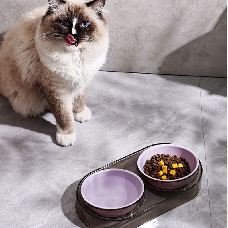 Zoomtopia Ensemble de gamelles pour chien et chat