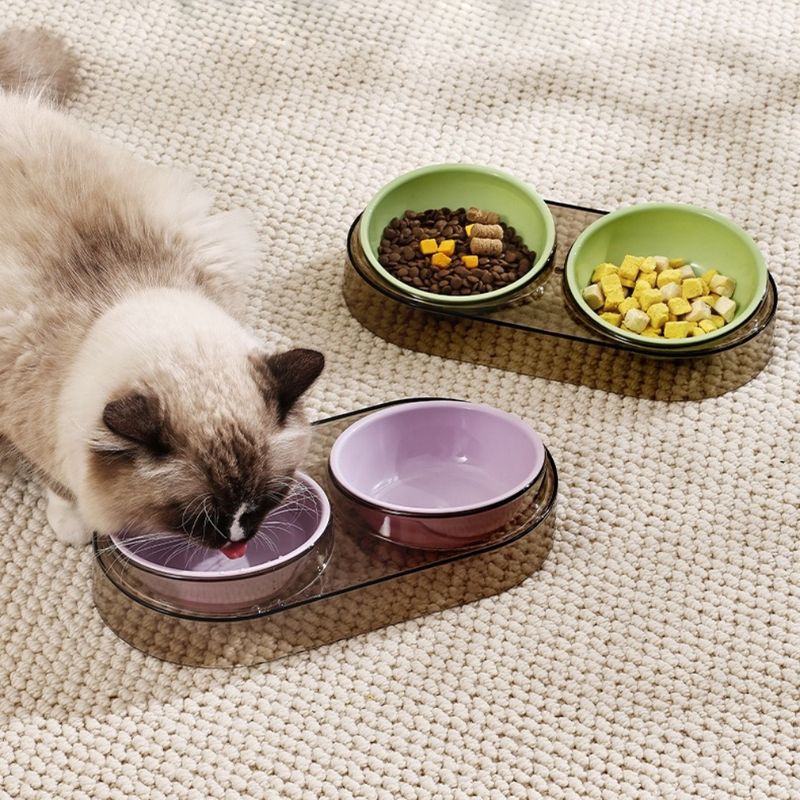 Zoomtopia Ensemble de gamelles pour chien et chat