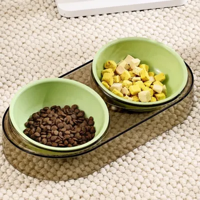 Zoomtopia Ensemble de gamelles pour chien et chat
