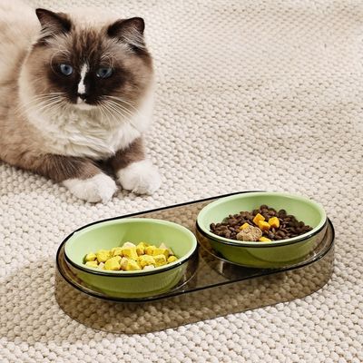 Zoomtopia Ensemble de gamelles pour chien et chat